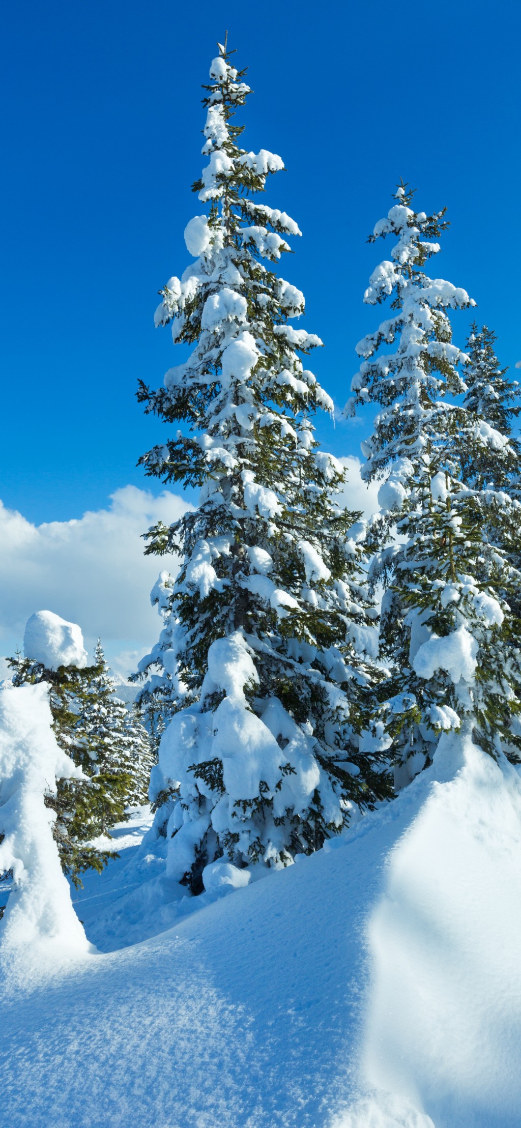 冬天雪景高清手机壁纸