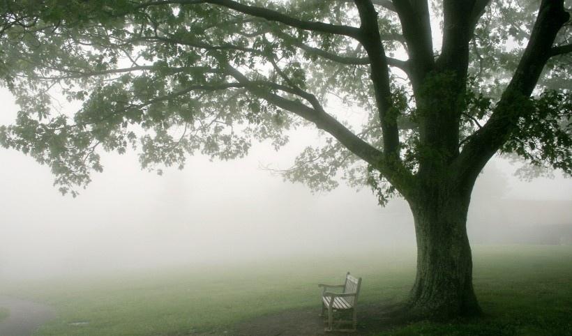 早晨的雾唯美风景