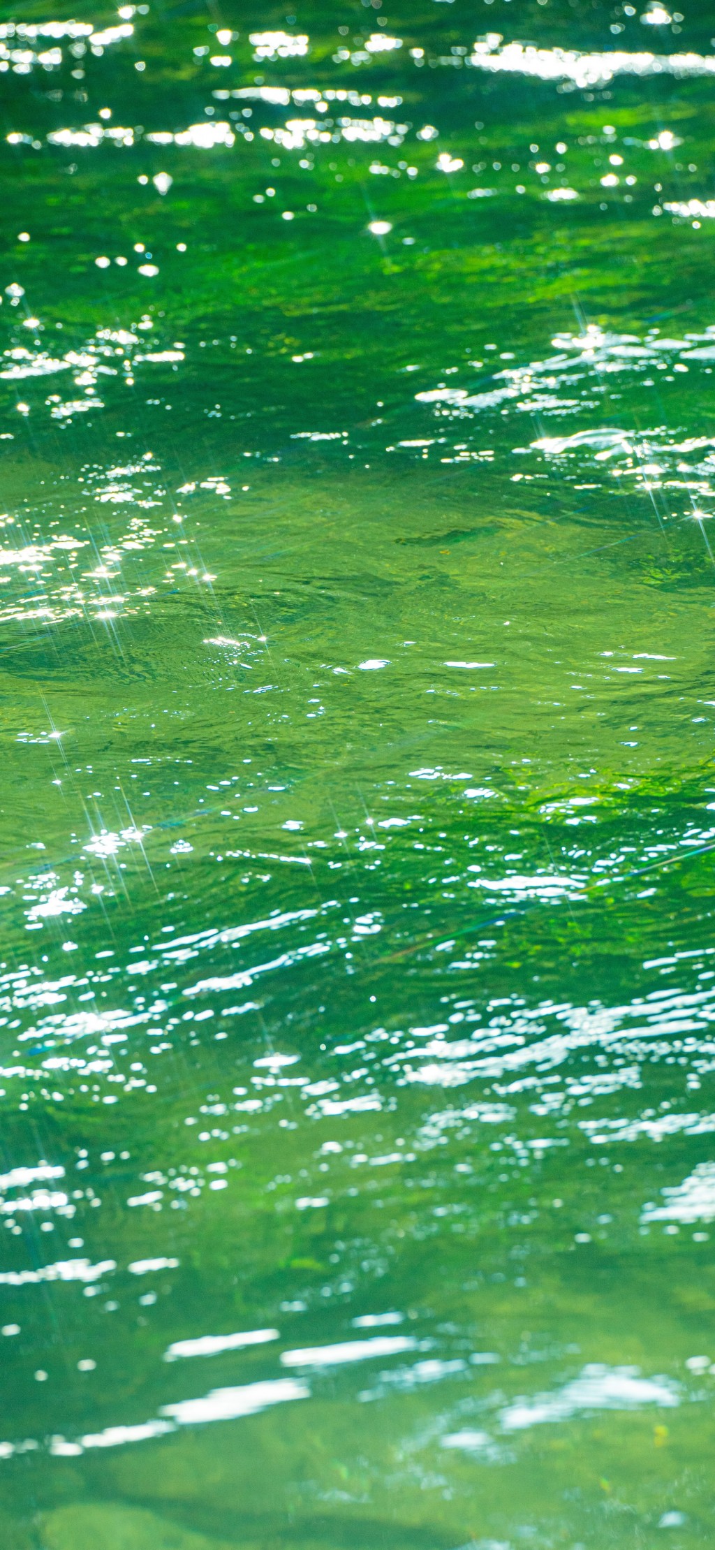 清新湖水玻璃绿风景手机壁纸