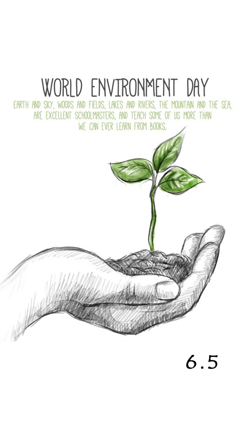 世界环境日小树苗英文版宣传海报