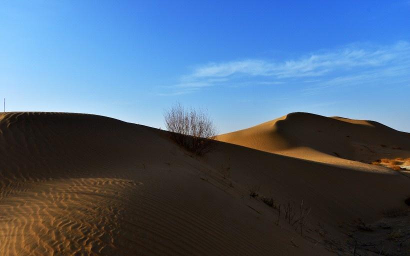 内蒙古鄂尔多斯恩格贝沙漠风景图片