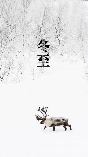 冬至，雪地里行走的小鹿