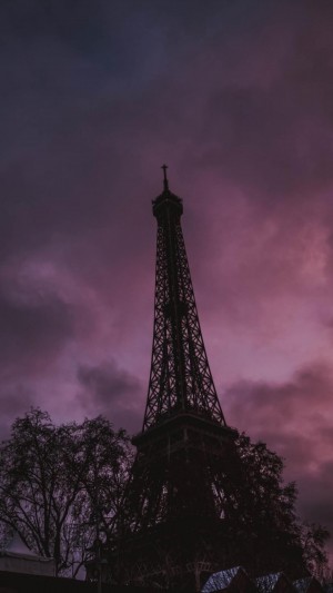 夜光下优美的巴黎埃菲尔铁塔景色