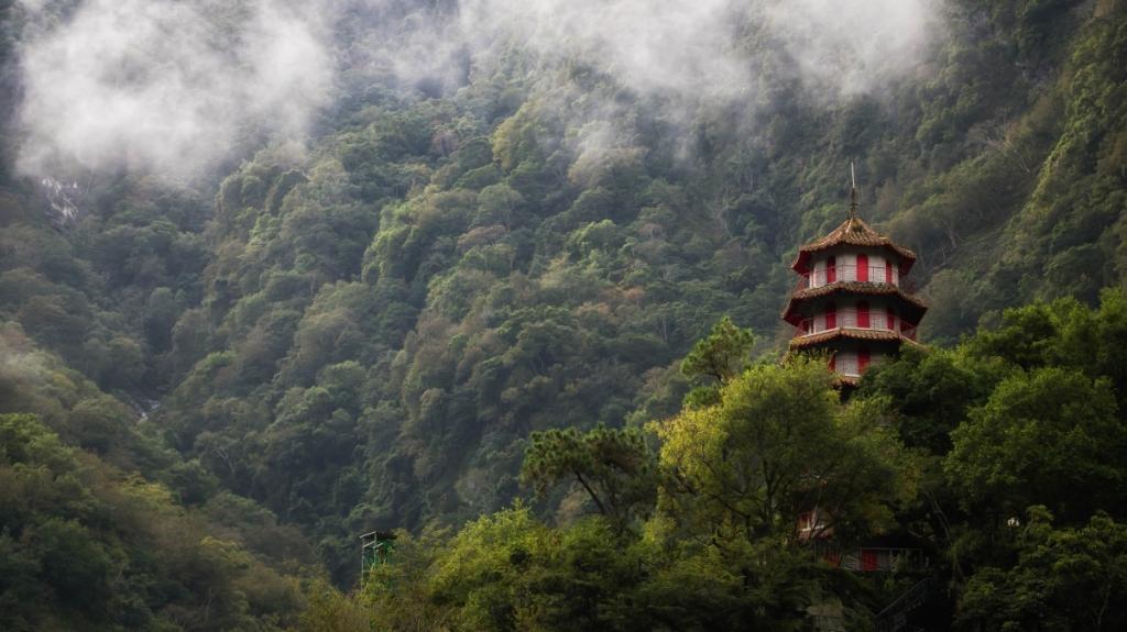 台湾森林里的宝塔风景