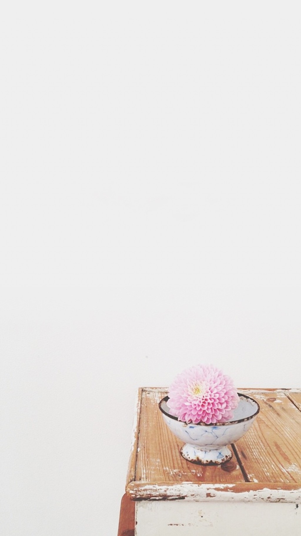 简洁盆栽花卉手机壁纸