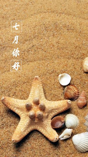 阳光沙滩海星贝壳七月你好的图片