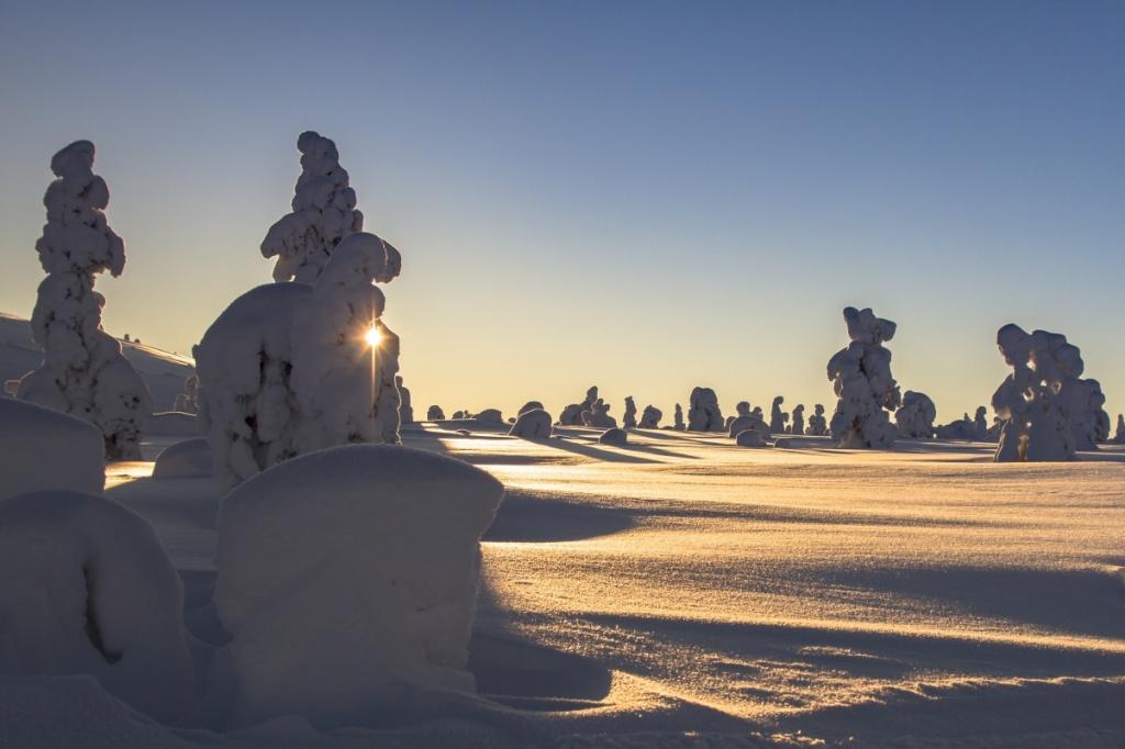 芬兰拉普兰冬天雪景