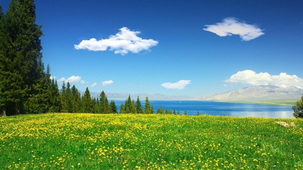赛里木湖绝美自然风光,