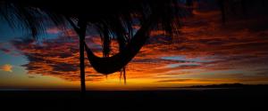 日落 云 吊床 棕榈树 风景壁纸
