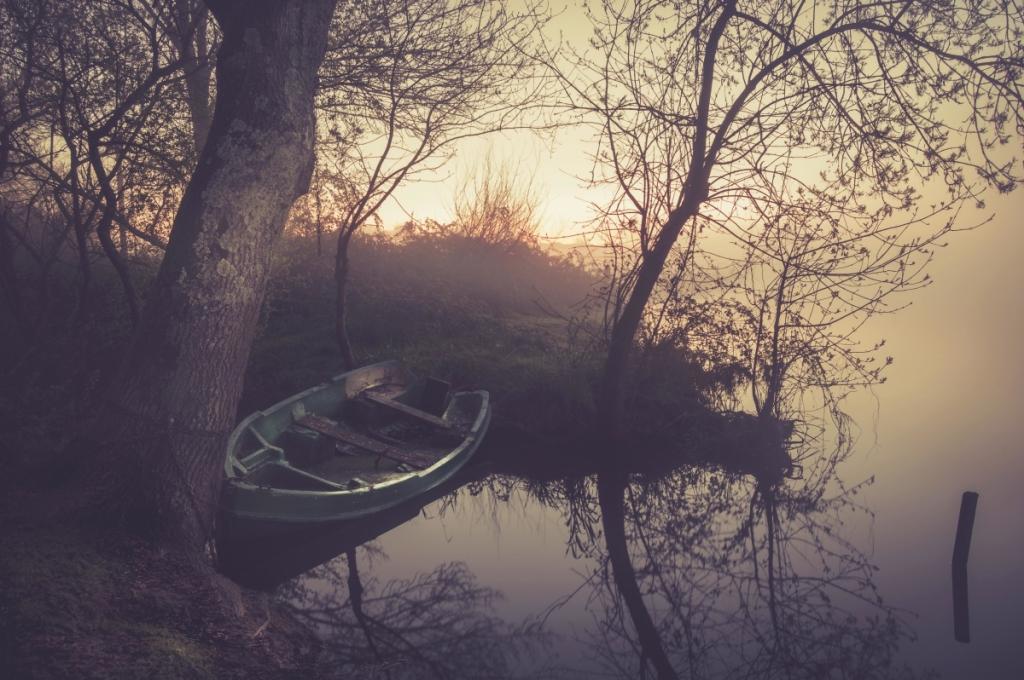 雾 湖 倒影 树 黎明 船 风景图片