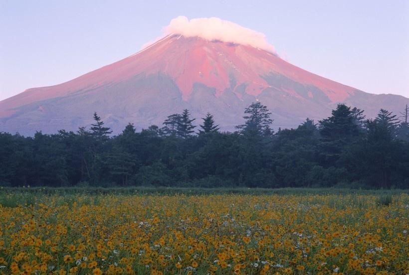 日本富士山春天风景写真图片