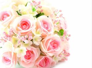 粉红色玫瑰,鲜花,花束,高清图片