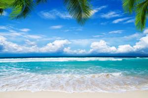 夏天,沙滩,热带天堂,棕榈树,海岸风光图片