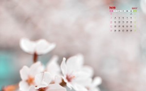 2020年5月小清新雅致花朵日历写真