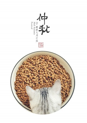 中秋节小猫吃食手机壁纸