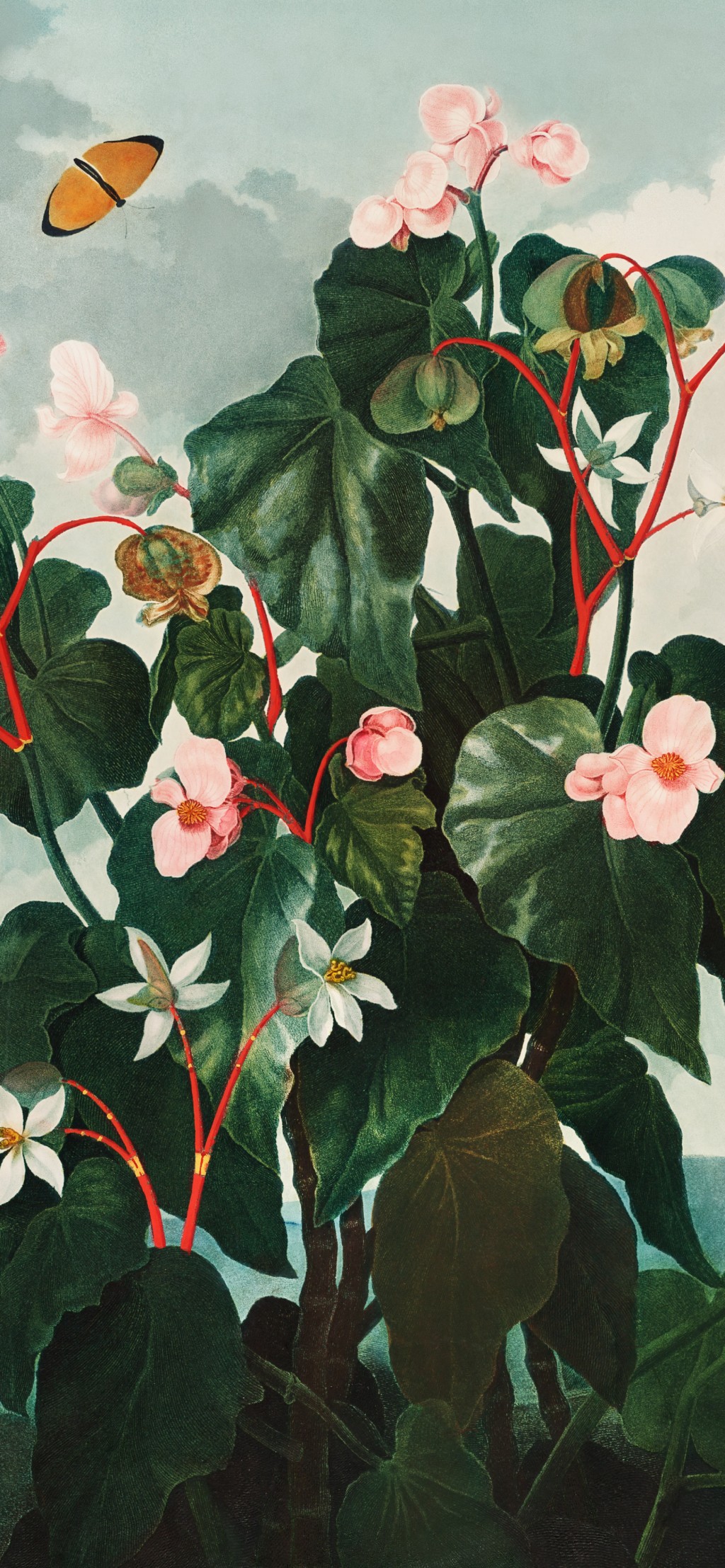 唯美花卉艺术画手机壁纸