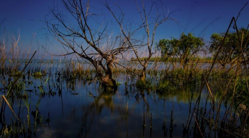 云南昆明捞鱼河湿地公园风景图片