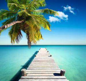 热带天堂,棕榈树,码头,海岸海洋,5K高清风景图片