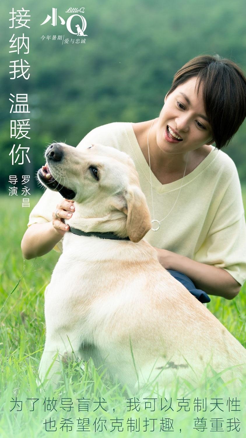 中国首部导盲犬题材电影 《小Q》人物角色文字海报