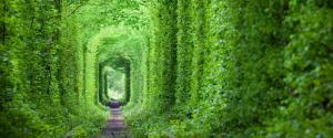 梦幻般的爱情隧道 绿树和铁路风景壁纸