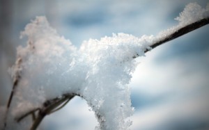 立冬节气唯美雪景图片高清桌面壁纸