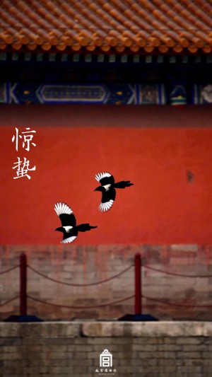 惊蛰节气故宫博物院燕子红墙风景手机壁纸