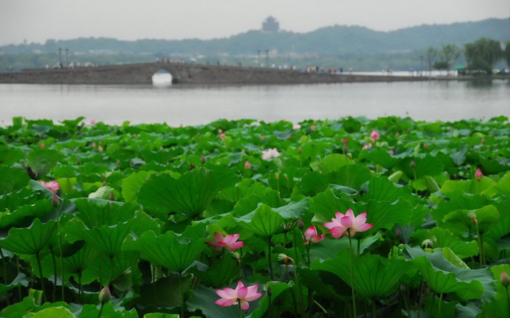 杭州西湖平静湖面美景高清桌面壁纸图片