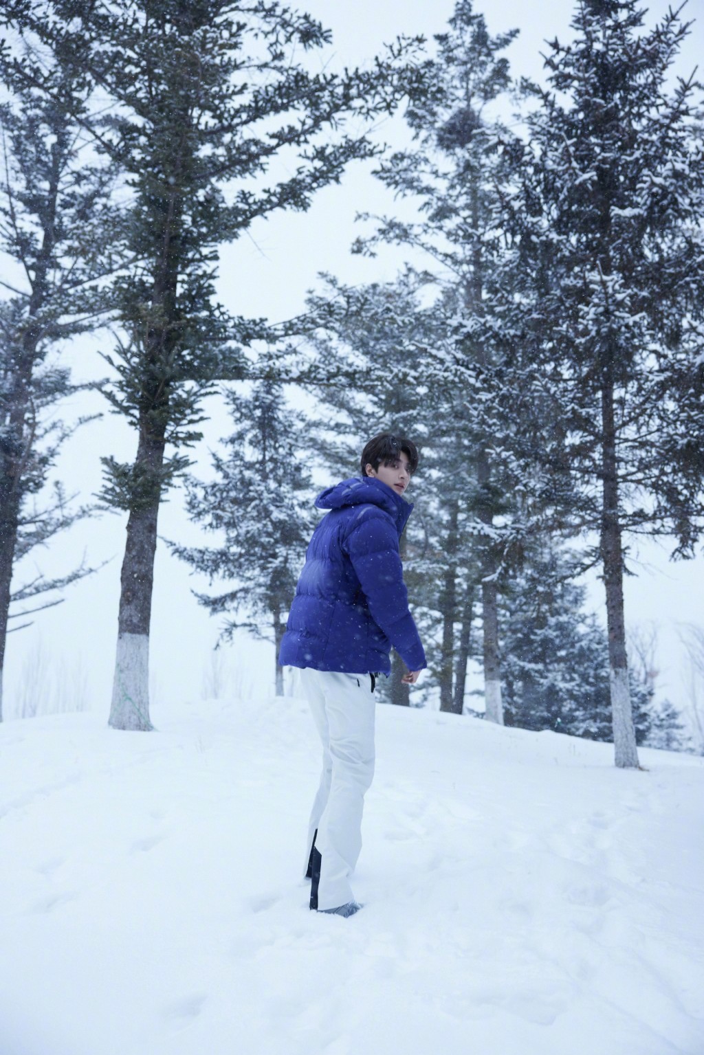 林一蓝色羽绒清俊冬季写真图片