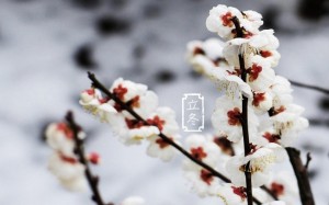 中国传统二十四节气之立冬 