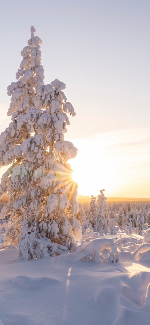 冬季风景早安手机壁纸