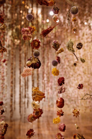 英国花艺家Rebecca Louise Law花卉装置展览