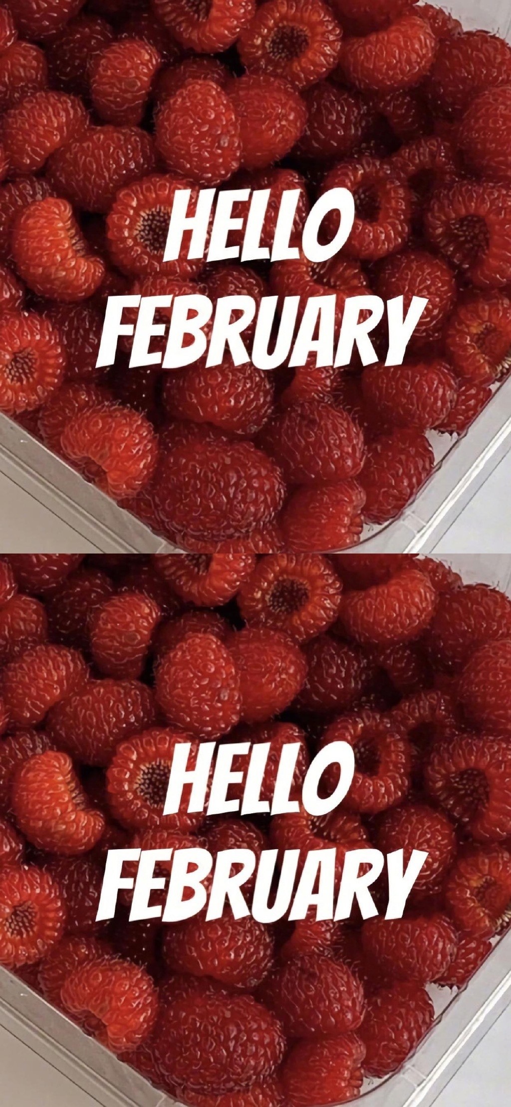 二月你好水果背景手机壁纸