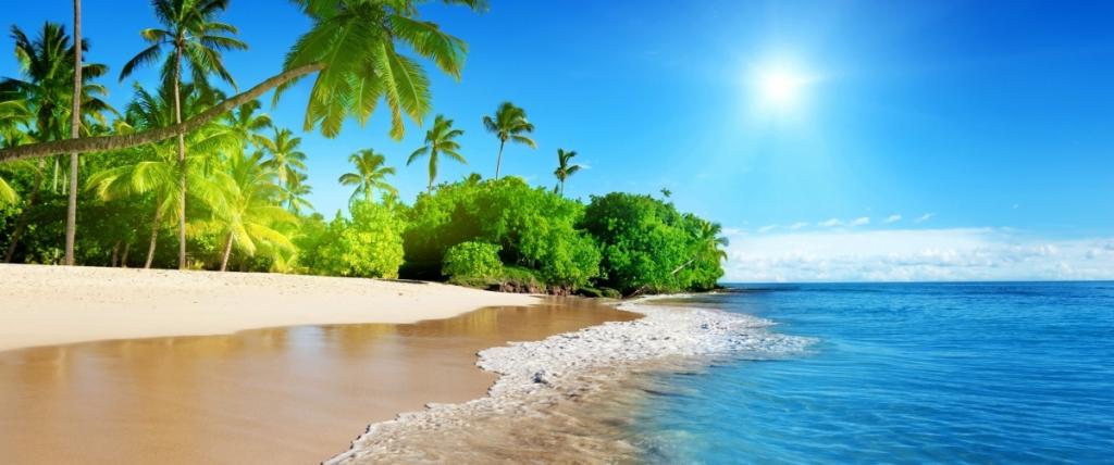 蔚蓝美丽的大海,阳光,棕榈树,沙滩,风景壁纸