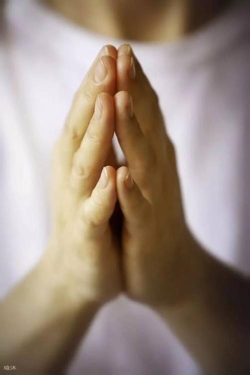 双手合十祈祷图片