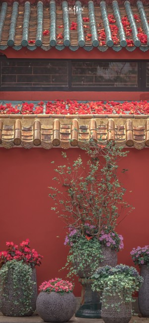 红墙古建筑系列风景手机壁纸