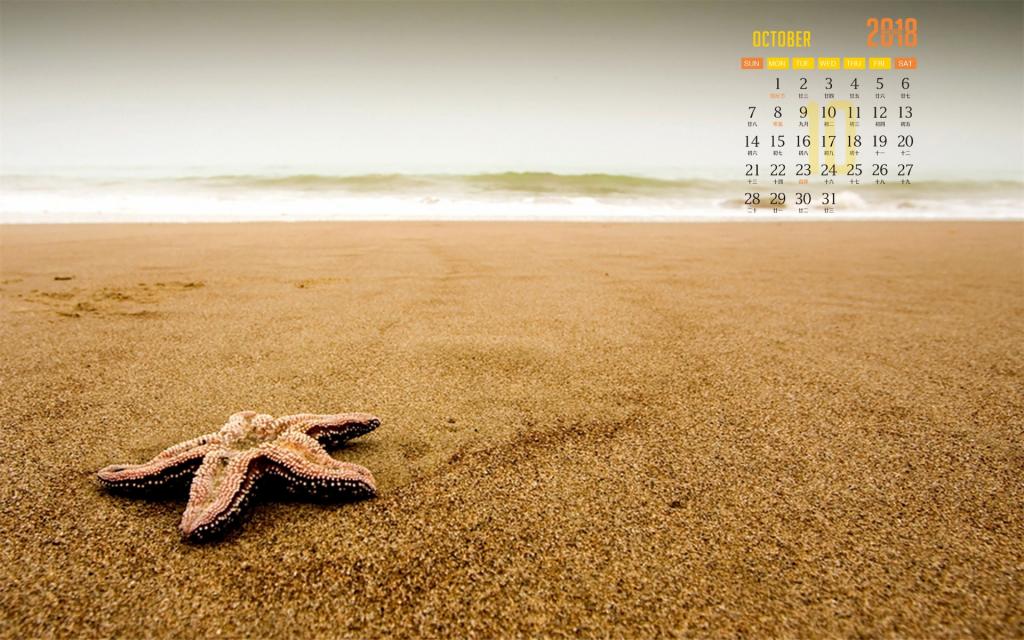 2018年10月唯美海滩贝壳海星高清日历电脑壁纸