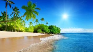 蔚蓝的大海,天空,椰树,海滩,海边风景壁纸