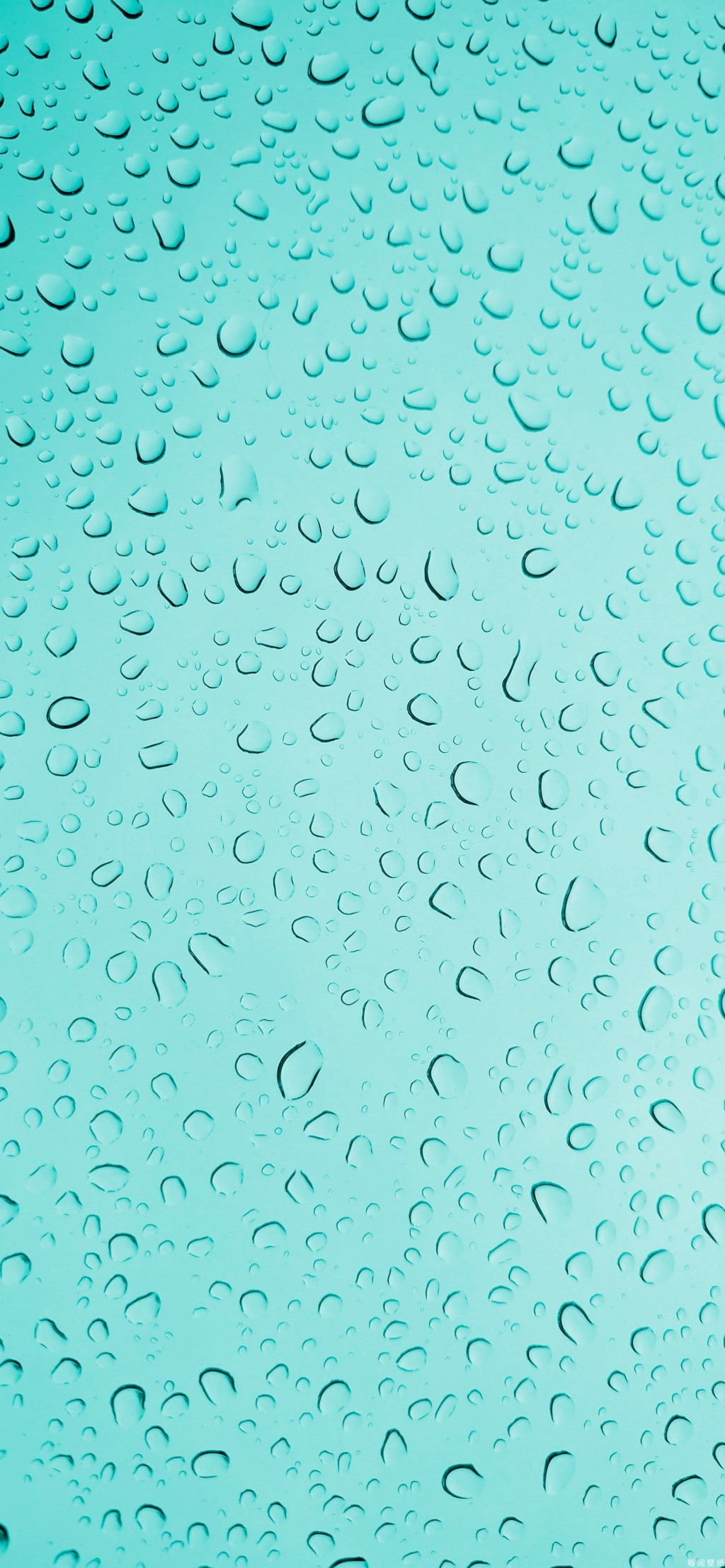 玻璃上的雨滴唯美手机壁纸
