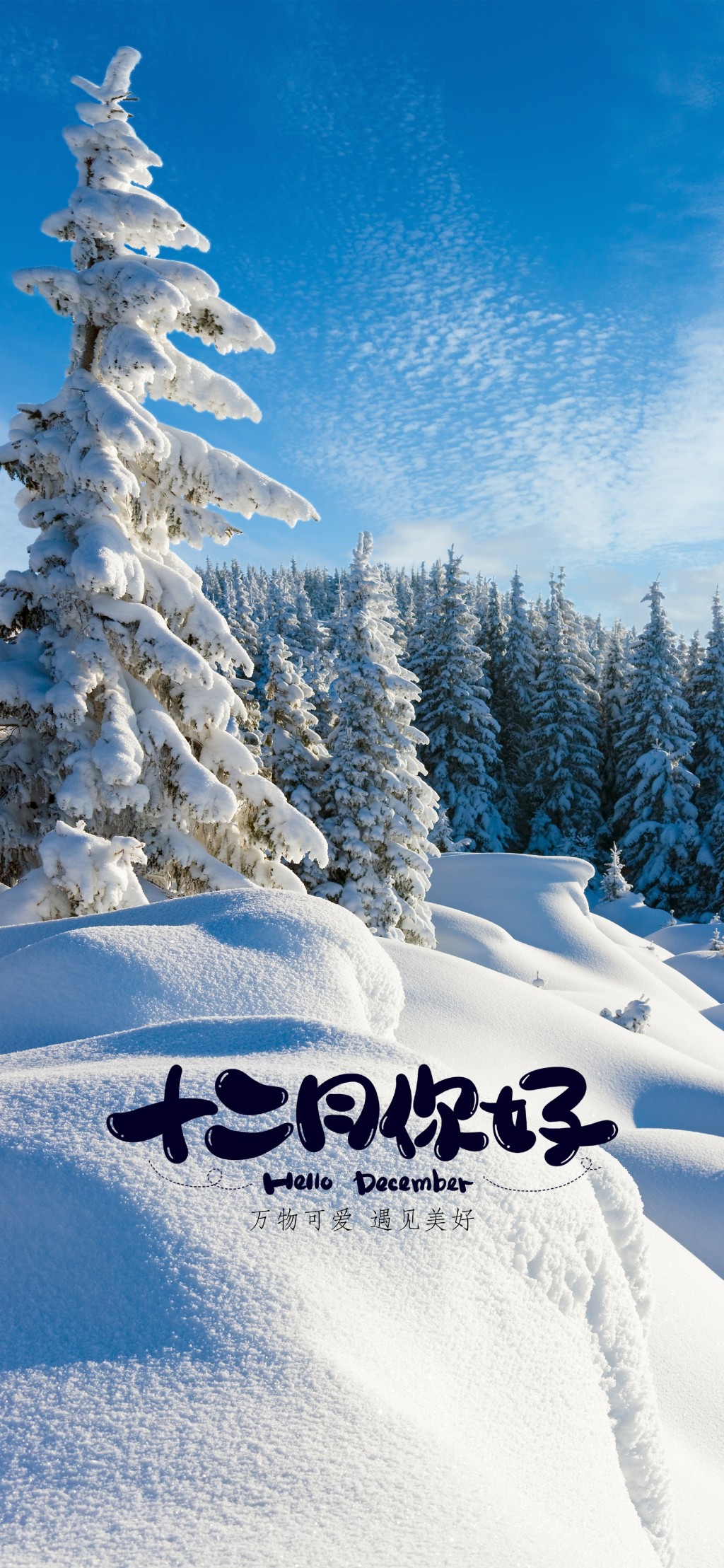 十二月你好冬季雪景手机壁纸