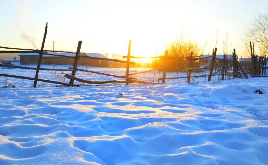 鄂伦春冬季早晨的风景图片写真