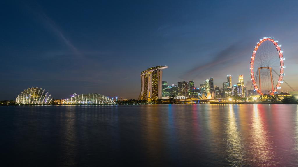 新加坡滨海湾花园夜景图片