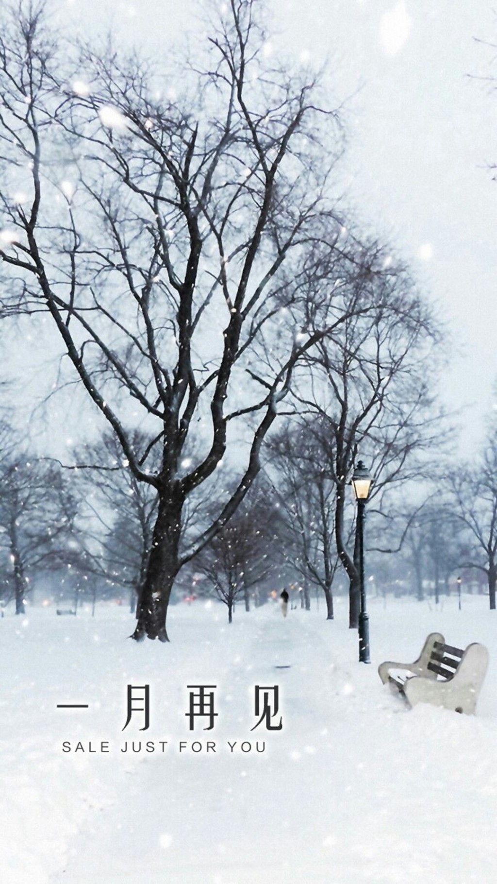 一月再见冬日唯美雪景手机壁纸