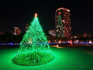 圣诞节城市LED灯光夜景图片