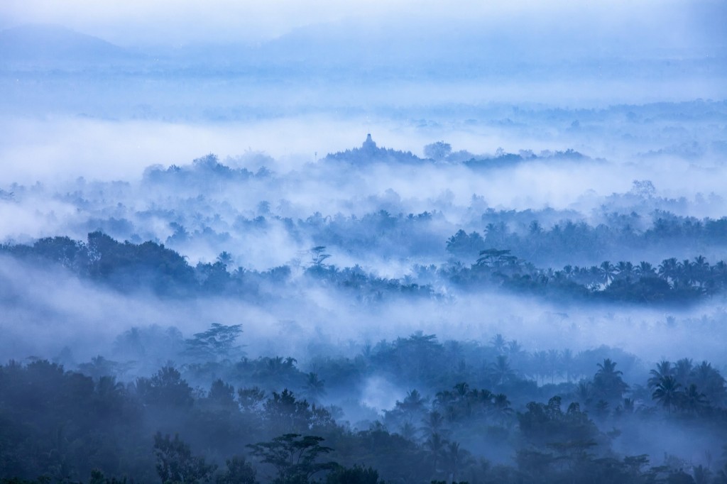 清晨雾气缭绕的自然美景