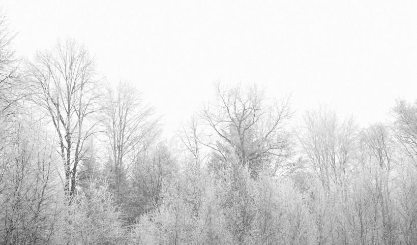 白色大地唯美冬天雪景
