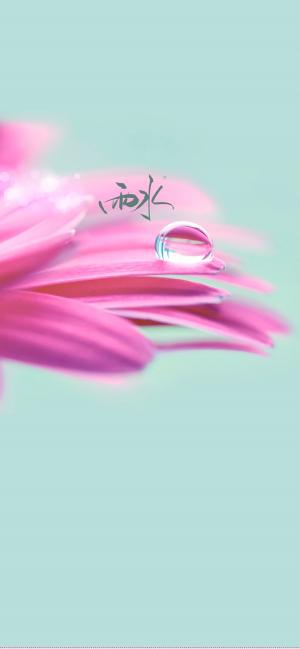 小清新雨水节气之粉色花朵手机壁纸