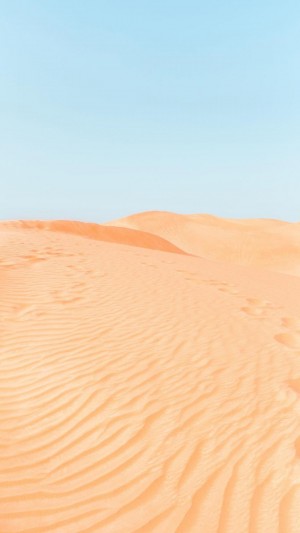 荒芜的沙漠风光