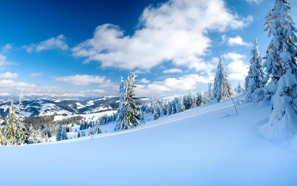 二十四节气之大雪蓝天白雪风景电脑壁纸