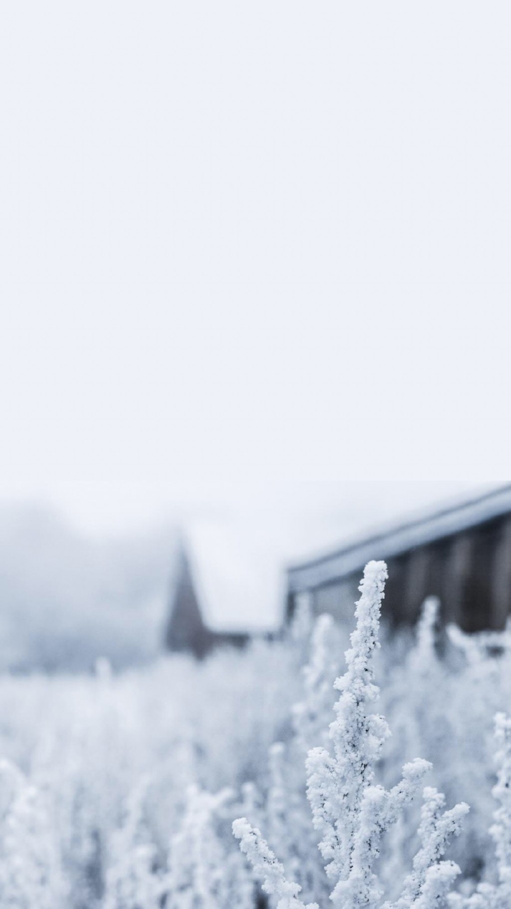 绝美纯白雪景图片手机壁纸