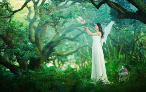 原始森林的天使美女写真